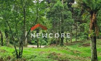 Imagem: Lote em Rua dos Pessegueiros - Campo do