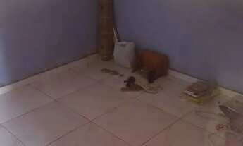 Imagem 6: Casa em santo Antonio do Tauá centro