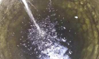 Imagem 2: Aluga-se uma casa- Região Parque do Lago