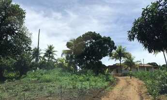 Imagem 2: Chácara renda e Lazer 1 hectares em Glória do Goitá