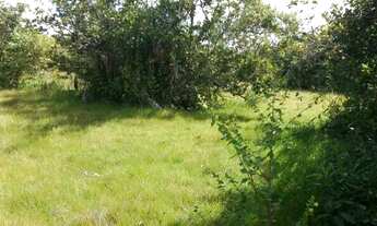 Imagem 5: Fazenda em Dois Irmãos. 47 mil por alqueire