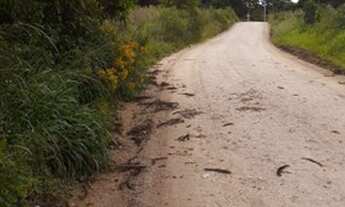 Imagem 4: ÁREA PARA FORMAR CHÁCARA