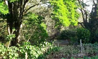 Imagem 6: Casa de condomínio térrea para venda tem 3553 metros quadrados com 4 quartos