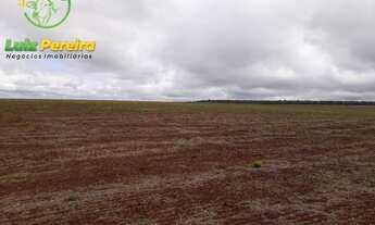 Imagem 4: FAZENDA Á VENDA EM RIBAS DO RIO PARDO - MS - DE 2.007 HEC.(DUPLA APTIEDÃO