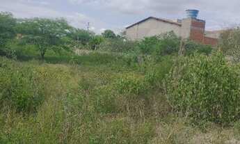 Imagem 3: Terreno em Gravatá,apenas 500 metros da BR 232, está aqui 036