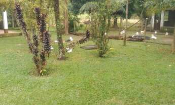 Imagem 5: Oportunidade única!lindo sítio no melhor lugar em Itaguaí