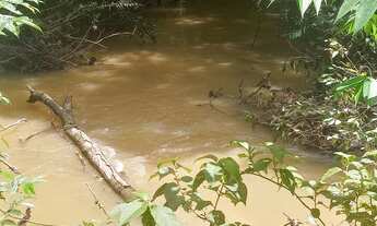 Imagem 5: Chácara de 1 alqueires no mun.de Cocalzinho