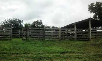 Imagem 7: Fazenda em Dois Irmãos. 47 mil por alqueire