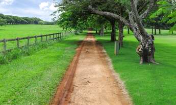 Imagem 2: Terreno condomínio Fechado Reserva Santa Izabel, Jaguariúna