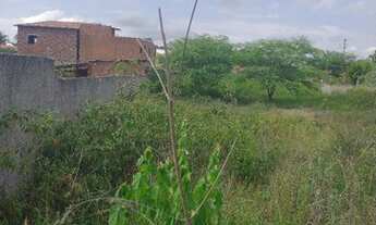Imagem 4: Terreno em Gravatá,apenas 500 metros da BR 232, está aqui 036