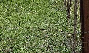 Imagem 7: Vende_se um terreno