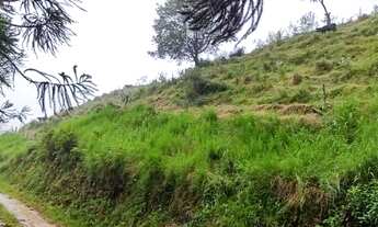 Imagem 5: 20 alqueires com muita pastagem