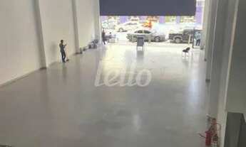 Imagem 3: São Paulo - Galpão/Depósito/Armazém - Pari