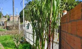 Imagem 2: Casa pra vender Lomba do Pinheiro 2 quartos