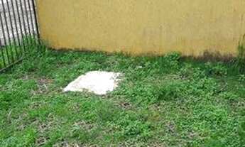 Imagem 7: Apartamento- Setor dos Afonsos - prox. Ao Buriti