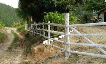 Imagem 6: Sitio ascurra Chácara com venda por R$190.000