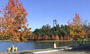 Imagem 3: Terreno no Loteamento Colinas de São Francisco em São Francisco de Paula!