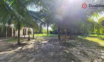 Imagem 4: Terreno (frente MA203) à venda, 6.000,00m² por R$ 6.500.000,00 - Araçagy - São José de Rib