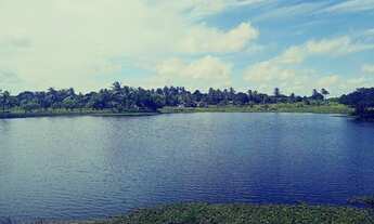 Imagem 3: Vendo Terreno Na Pindoretama Com 20 Hectares E Açude Dentro Vem Terreno Muito Bom. vá