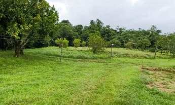 Imagem 7: 20 alqueires com muita pastagem