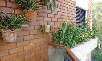 Imagem 4: APARTAMENTO - MORUMBI - SP