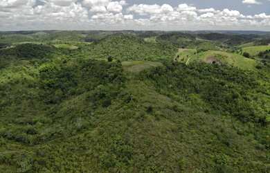Imagem 5: Vendo fazendinha em Nazaré das farinha