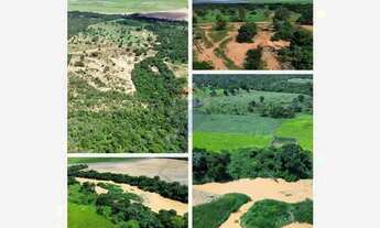 Imagem 4: Fazenda São Gonçalo