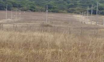 Imagem 3: Terreno na chapada Diamantina