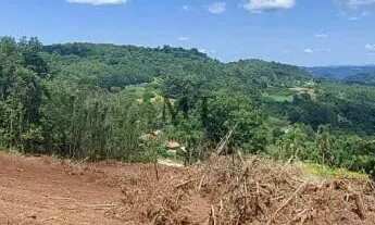 Imagem 6: Área de terra bairro Quatro Cantos, Picada Café.RS REF: 329