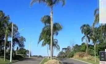 Imagem: Terreno,bairro Bela Vista