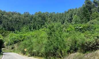 Imagem 5: Sitio - Bairro Linha Ávila