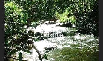 Imagem 14: Fazenda à venda de PORTEIRA FECHADA, 6 alqueires por R$ 4.500.000 - Zona Rural - Catalão/G