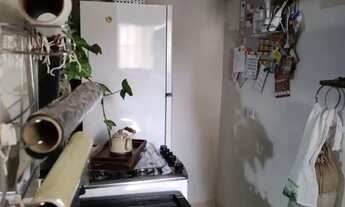 Imagem 11: CASA TÉRREA - JARDIM DAS PALMEIRAS - SP