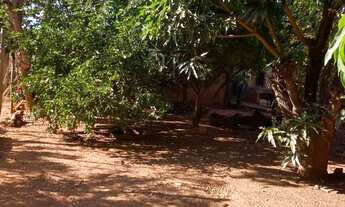 Imagem 3: Chácara 1.600 m² a 15 km de Montes Claros (saída Bocaiuva