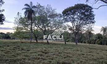 Imagem 4: Vende-se Fazenda de 38 Alqueires em Divinópolis Tocantins