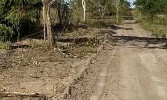 Imagem 2: FAZENDA EM IBIQUERA - 910 TAREFAS