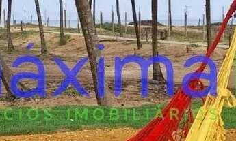 Imagem 4: Melhor Lote Villaredo Barra, Lote 1002