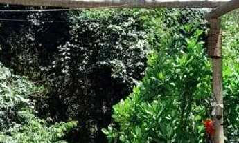 Imagem 7: Chácara Sitio Roça - Fercal Sobradinho-Df