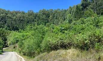 Imagem 6: Sitio - Bairro Linha Ávila