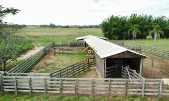 Imagem 2: Salomone vende 46 hectares em Viamão