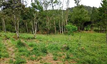 Imagem 4: Linda Chacara em São Paulo mais de 12.000 metros