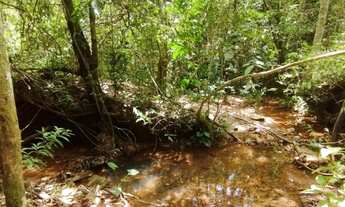 Imagem 2: Propriedade rural com 3,5 alq. Em Pirenópolis Goiás