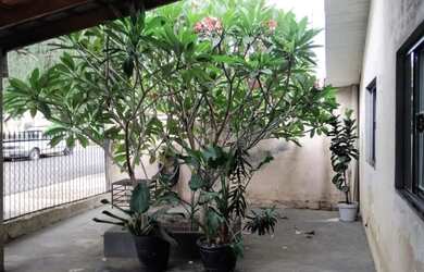 Imagem 3: Casa com 2 dormitórios à venda, 121 m² por R$ 300.000,00 - Conjunto Vivi Xavier - Londrina