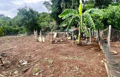 Imagem 7: Chácara Chácara com venda por R$100.000