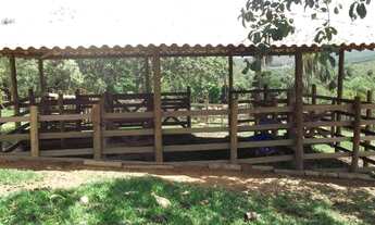 Imagem 4: Lindo terreno rural de 41 hectares na MG10 * WhtsAAP Guilherme