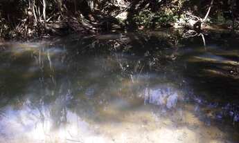 Imagem 7: Lindo terreno rural de 41 hectares na MG10 * WhtsAAP Guilherme