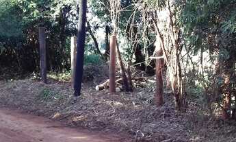 Imagem 2: Chácara em Ourinhos/SP a 5 minutos do Centro fundo com Rio Pardo