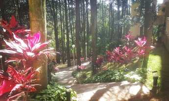 Imagem 2: Pronto 50 metros Guaianases