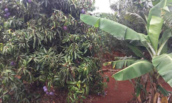 Imagem 2: Sítio - Patrimônio Espirito Santo Londrina/PR