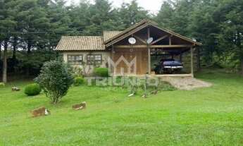 Imagem 4: Sítio em São Francisco de Paula.!! st444